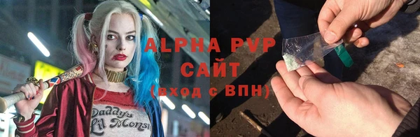 индика Баксан