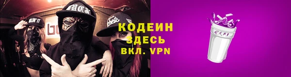индика Баксан
