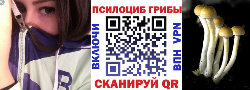 Галлюциногенные грибы мухоморы Пересвет